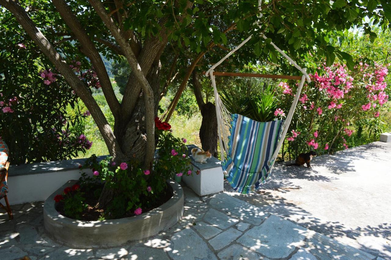 Alikias Country House Panormos  Exterior photo